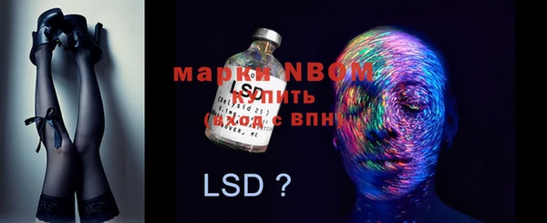 ГАЛЛЮЦИНОГЕННЫЕ ГРИБЫ Абаза