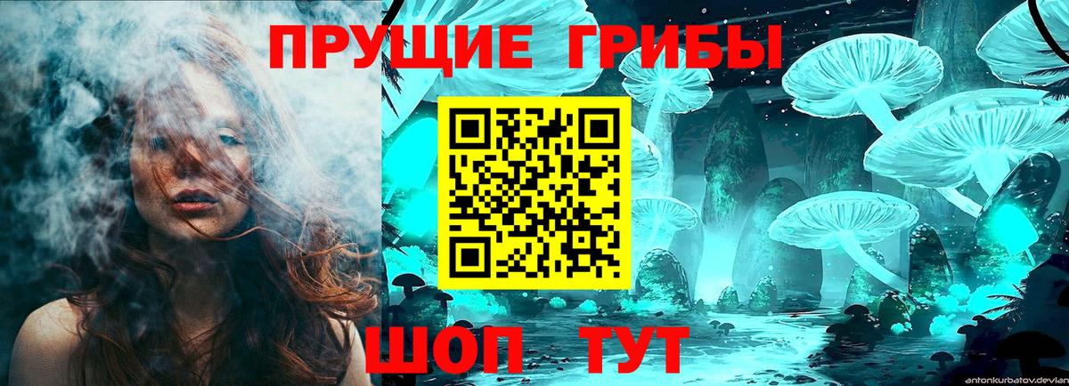 Галлюциногенные грибы Psilocybe  Вход с VPN  Таганрог  Галлюциногенные грибы Psilocybine cubensis 