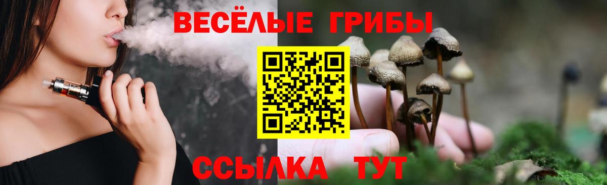 Галлюциногенные грибы Psilocybine cubensis Таганрог